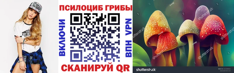 Псилоцибиновые грибы ЛСД Пикалёво